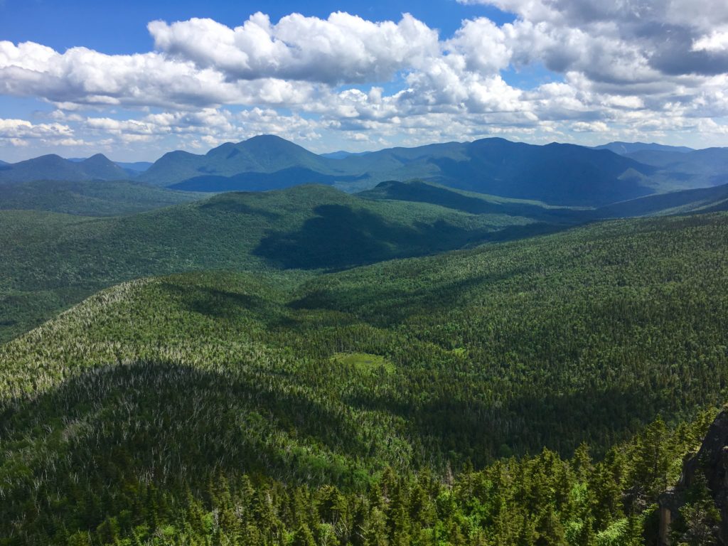 Zeacliff looking at Carrigain