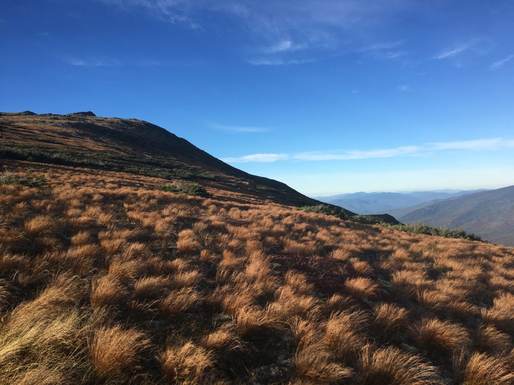Mount Isolation Views