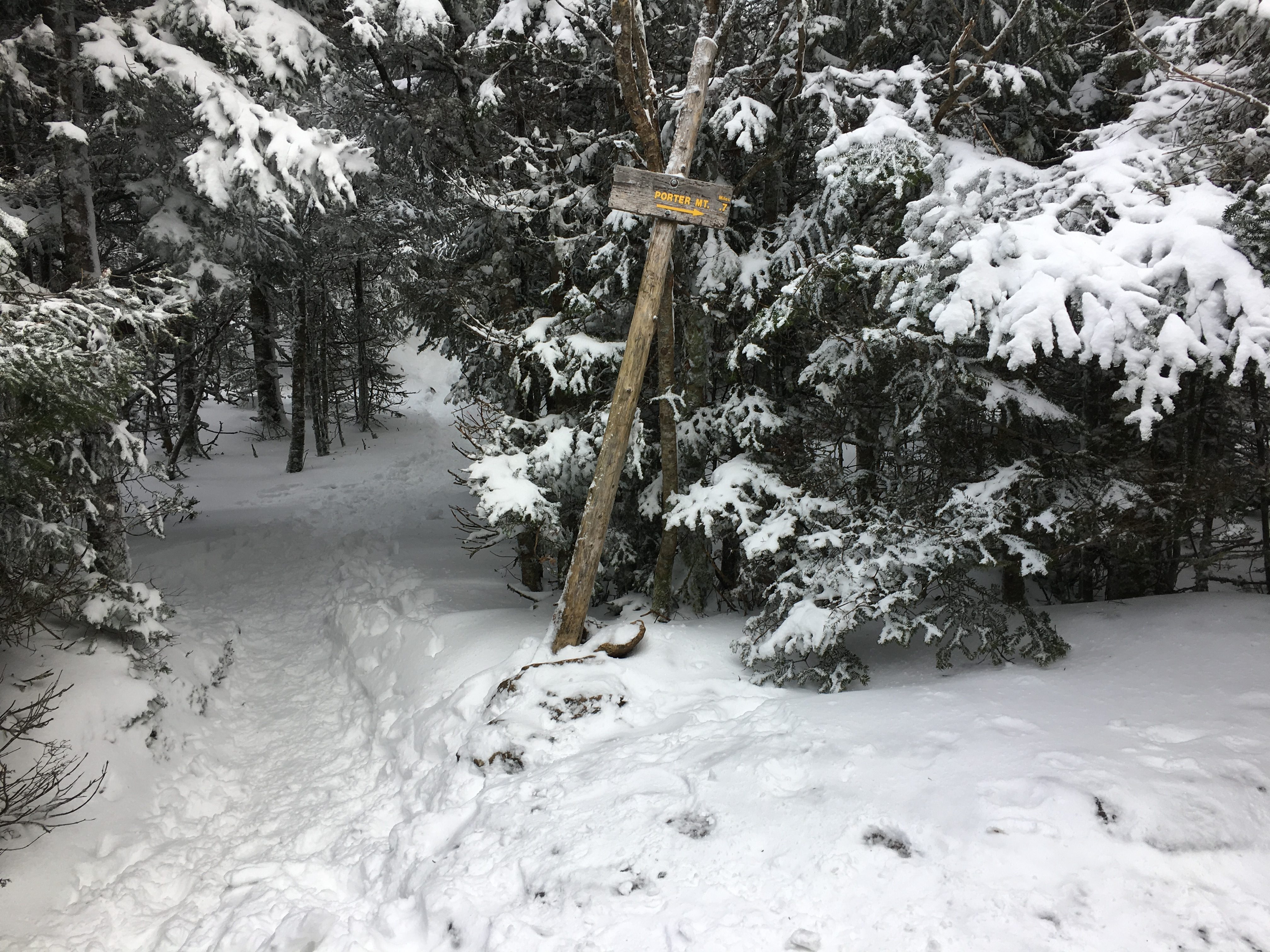 Cascade and Porter Mountain Trail Junction
