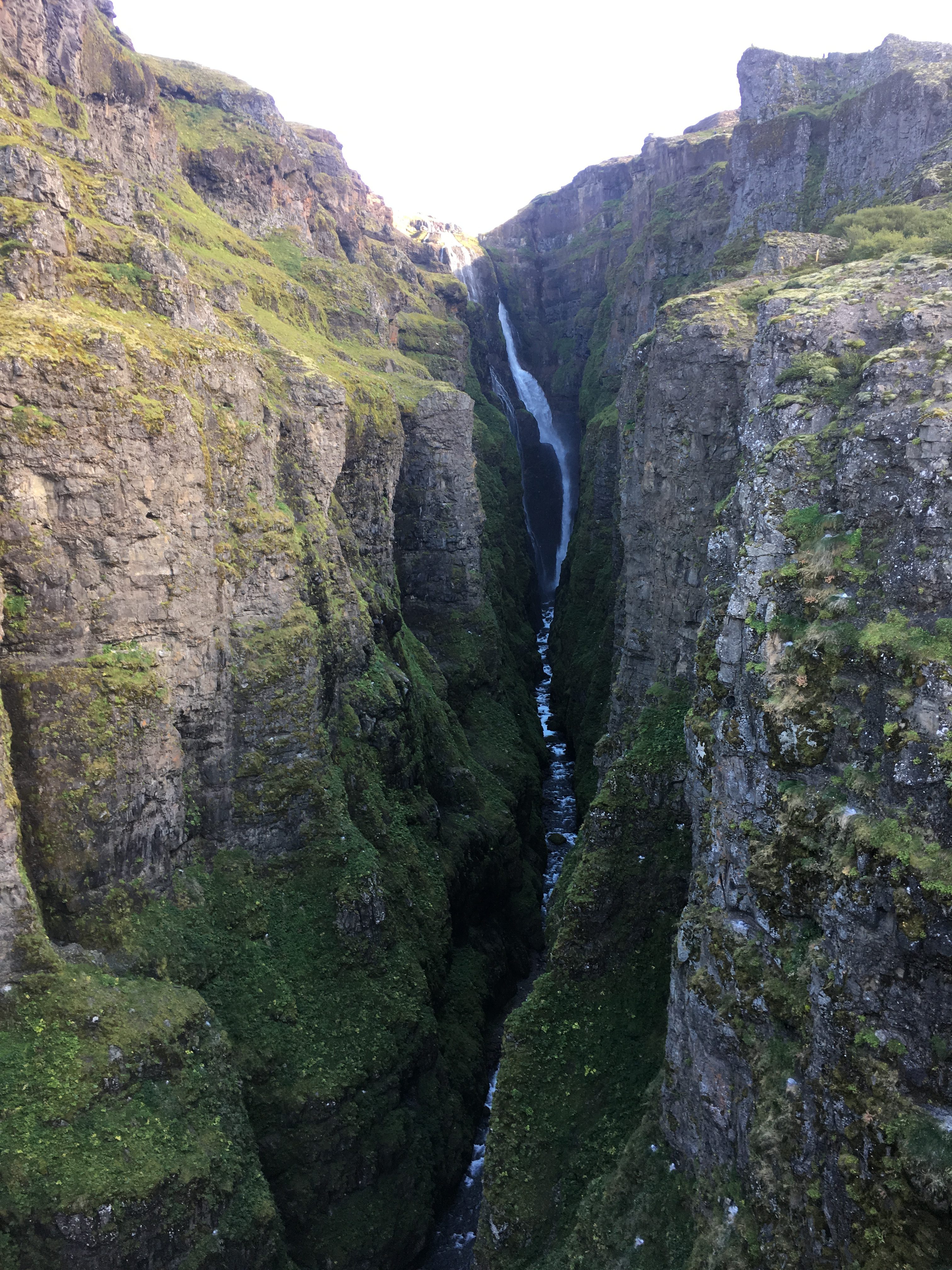 From Glymur Falls Lookout Point