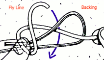 Fly Line to Backing Step 1