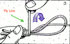 Fly Line to Backing Step 2