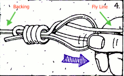 Fly Line to Backing Step 3
