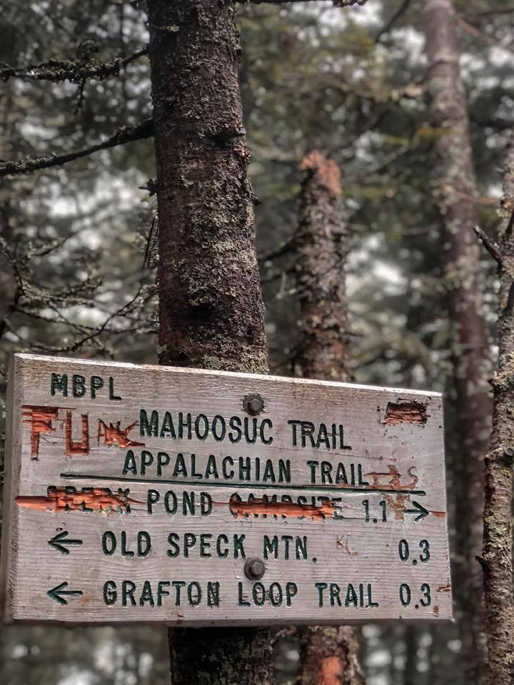 Old Speck Mountain Trail Views