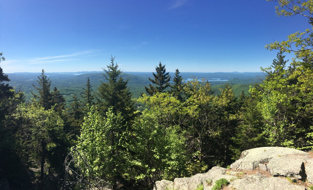 First Viewpoint on Wentworth Trail