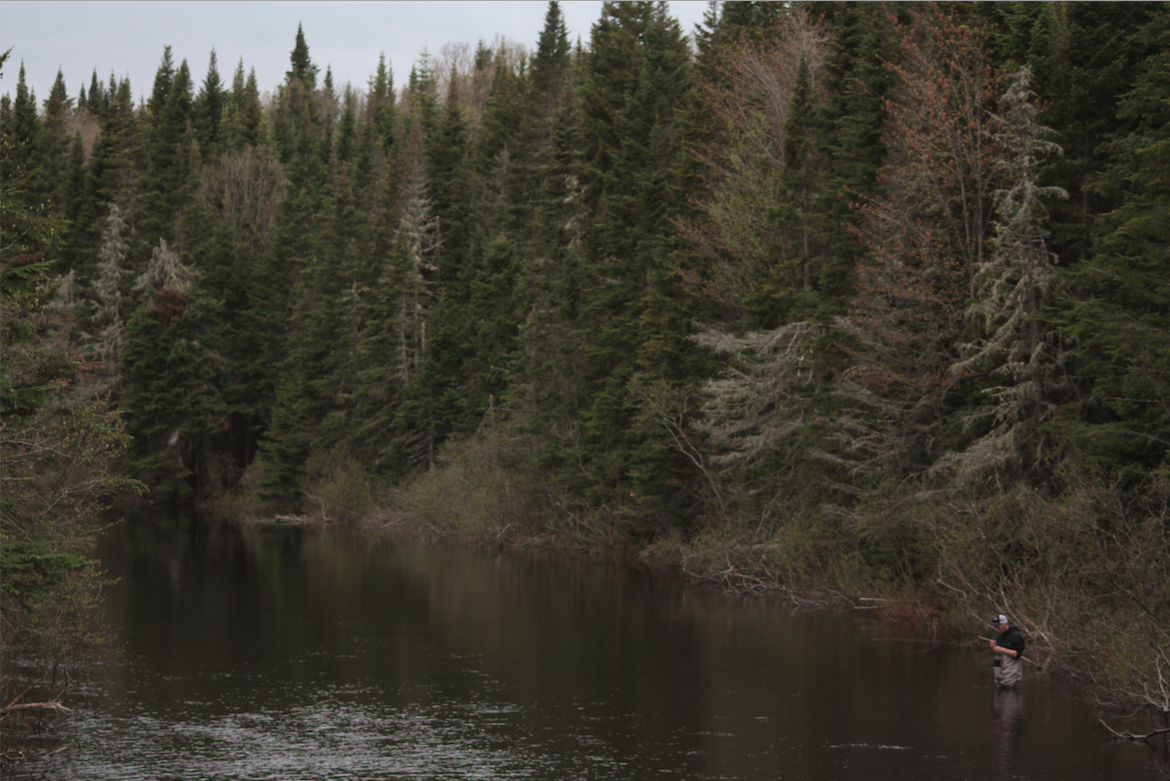 Fly Fishing the Upper Connecticut River in NH – Everything You Need to Know – Trophy Stretch & More