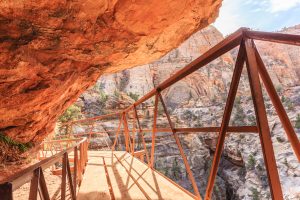 Best Hikes In Zion National Park 