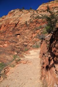 Hidden Canyon In Zion National Park 