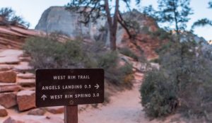 West Rim In Zion National Park
