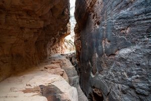 Observation Point In Zion National Park