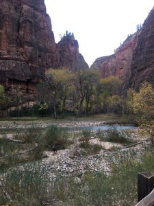 Best Hikes In Zion National Park