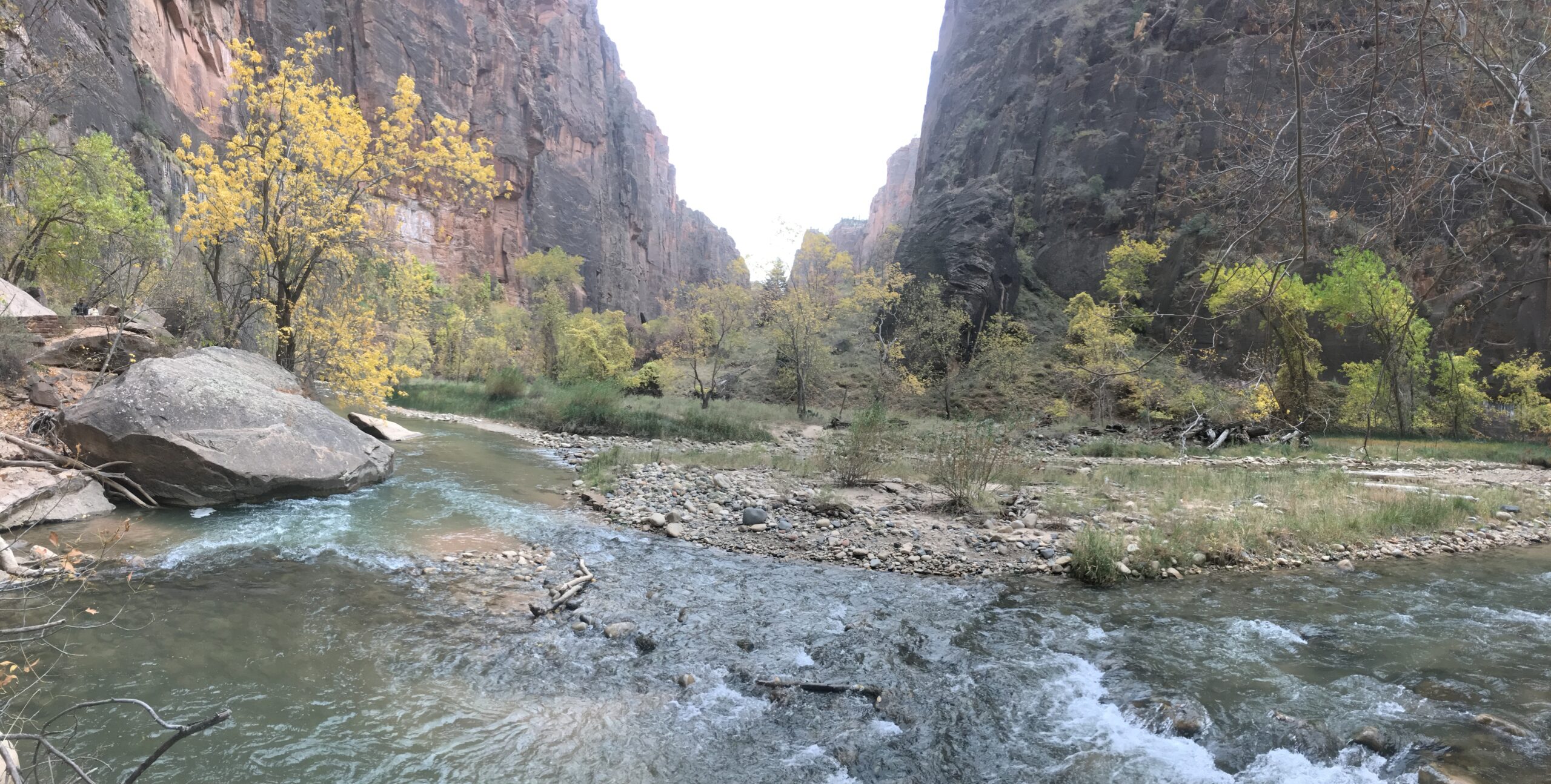 Riverside Walk Zion National Park