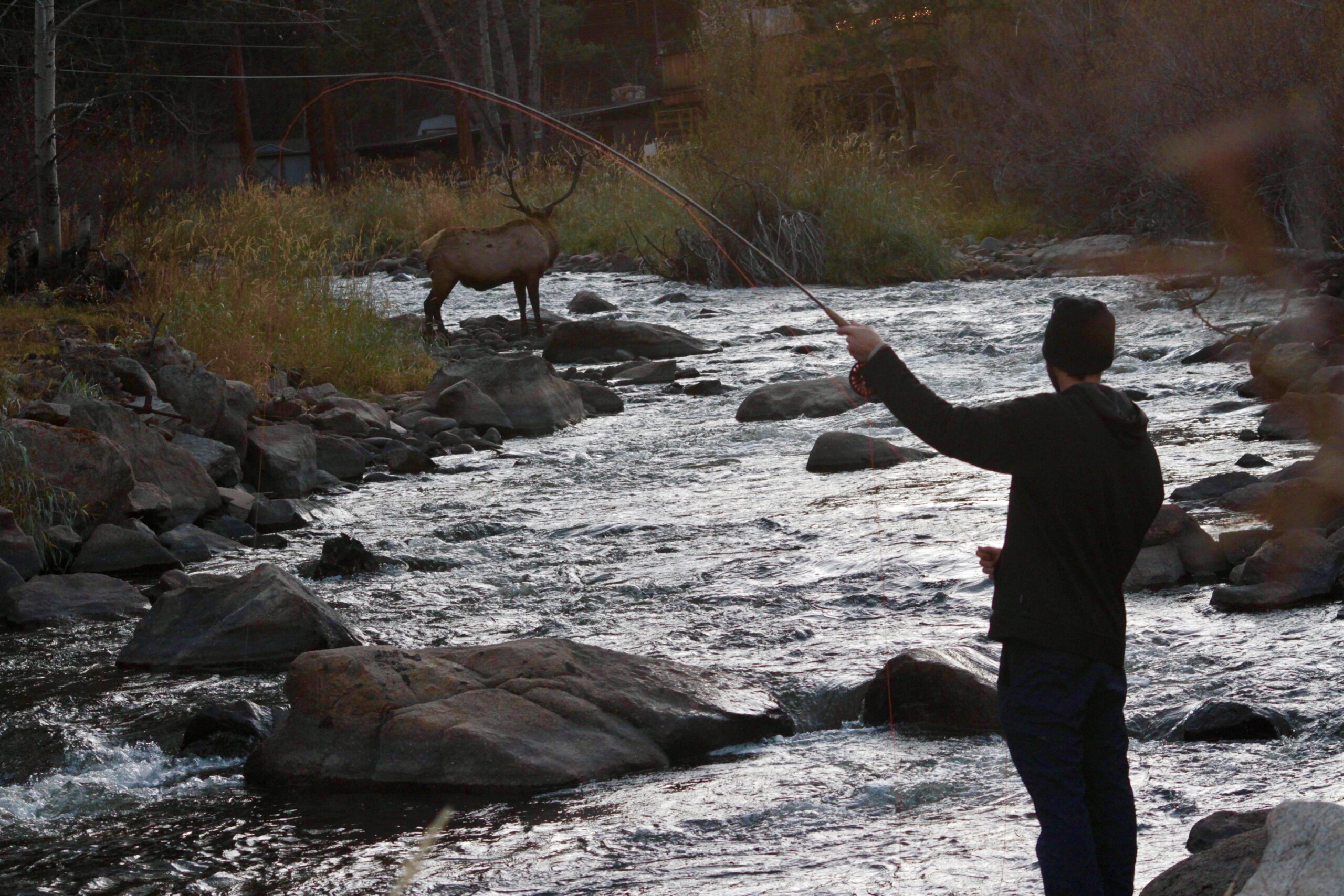 Fly Fishing The Big Thompson River – Complete Guide w/ Map, Pictures, Tips & More
