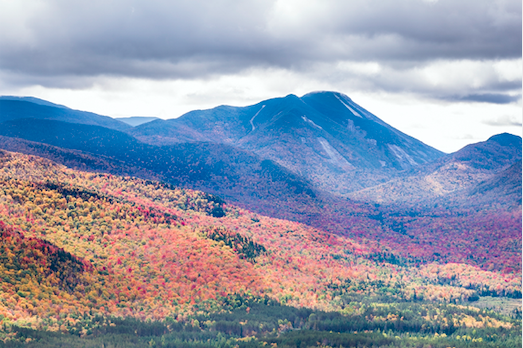Mount Colden Hiking Trail Guide: Map, Trail Descriptions, Pictures & More