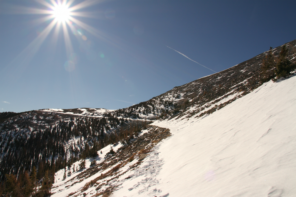 322A Towards Lucky Mine (Hikers Turn Right Once They Break Treeline Here