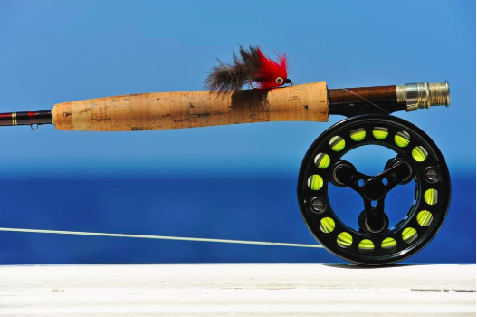 Casting Decisions: Saltwater vs. Freshwater Fly Fishing Differences
