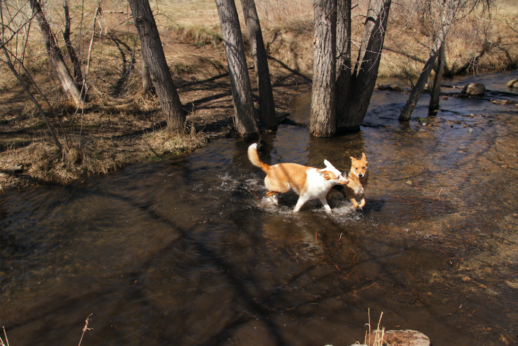 River Crossing at Hewlett Gulch Trail