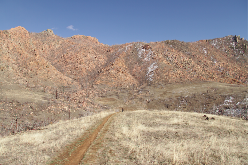 Views From Hewlett Gulch Trail