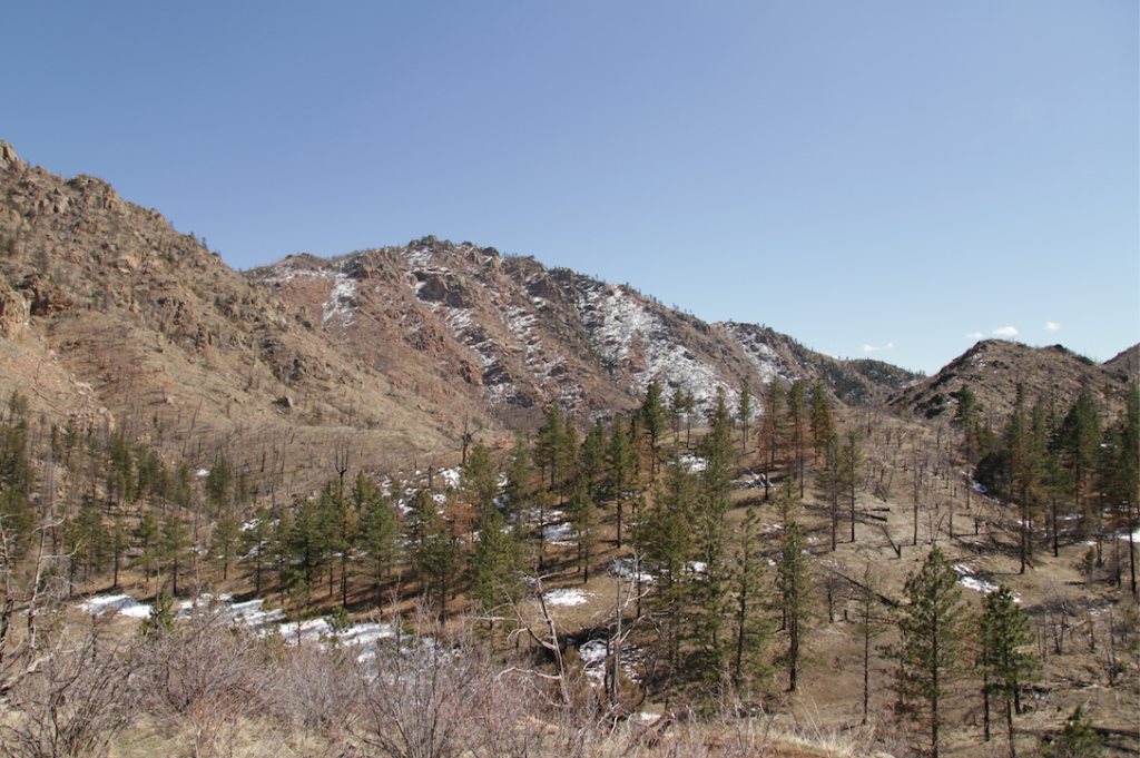 Views From Hewlett Gulch Trail While Ascending