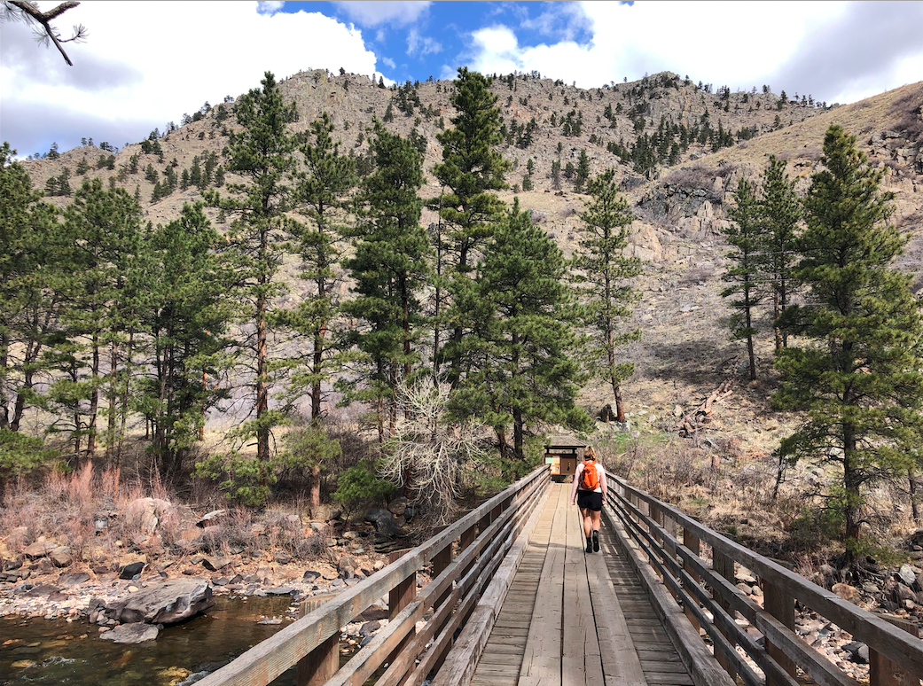 Greyrock Mountain & Greyrock Meadows Trail Poudre Canyon, Colorado