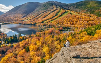 Artist’s Bluff Hike – NH White Mountains – Best Short Hike in Franconia Notch