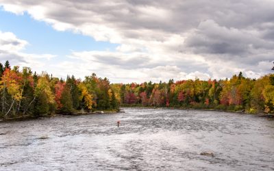 Maine Fly Fishing – The Guide To Fishing The Best Rivers & Lakes