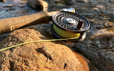 Fly Fishing The Swift River – Complete Guide To This Beautiful NH River
