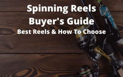 Spinning Reel Buyer’s Guide: Best of 2025 [And How To Choose]