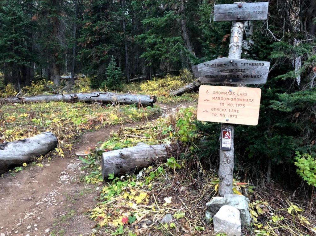 Trail Junction Before Snowmass Lake