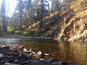 Quiet time promotes inner listening 