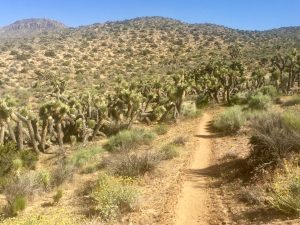 You don’t want to run out of water in terrain like this...