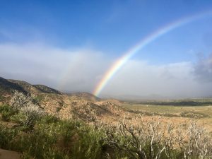 Rainbow after a storm