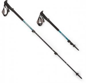 Black Diamond Poles