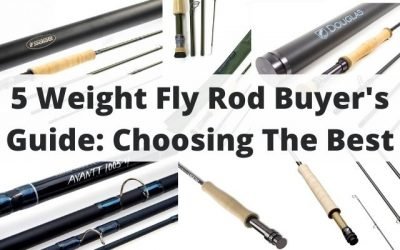 Your Guide to Choosing the Best 5 Weight Fly Rod