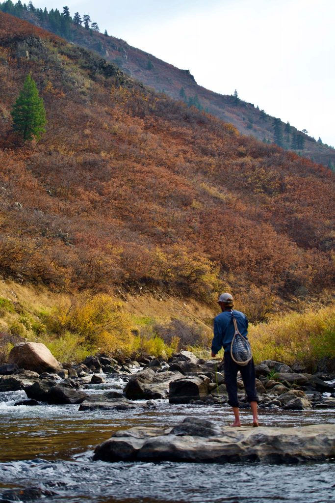 Fishing In Waterton Canyon, South Platte River