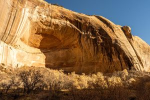 Cliffs near Lower Calf Creek Falls