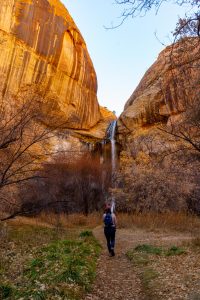 Lower Calf Creek Falls Trail