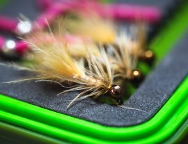 Wooly Bugger streamer