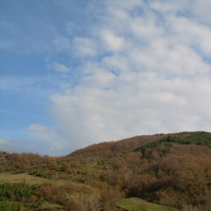 Blue Hills Reservation