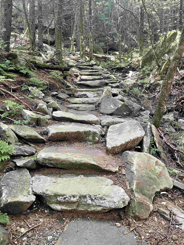 Stone Pathway