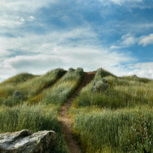 The Great Island Trail