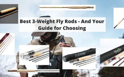 Best 3 Weight Fly Rods – Your Buyer’s Guide