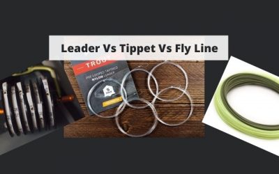 Leader vs. Tippet vs. Fly Line