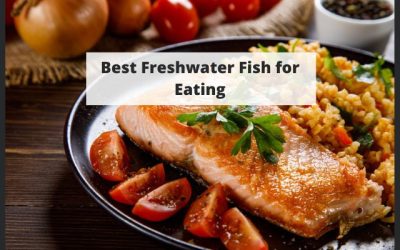 Best Freshwater Fish for Eating