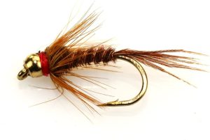 Pheasant Tail Nymph