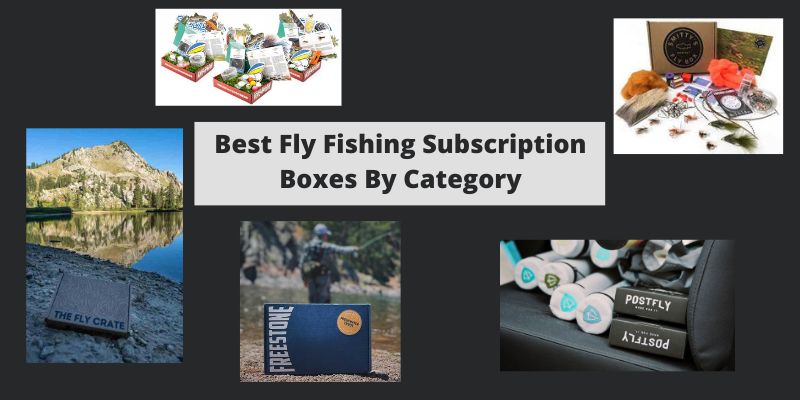 1000 dollar fishing lure YUM Dinger Texas Rig Combo  Discount Tackle