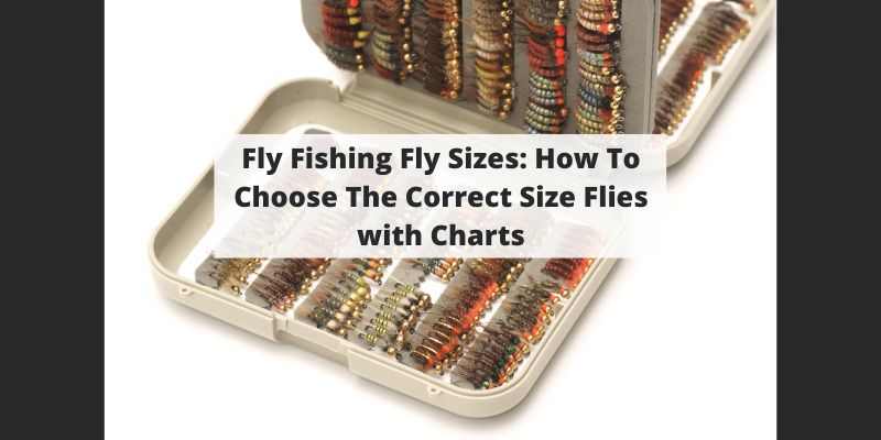alphafly size guide