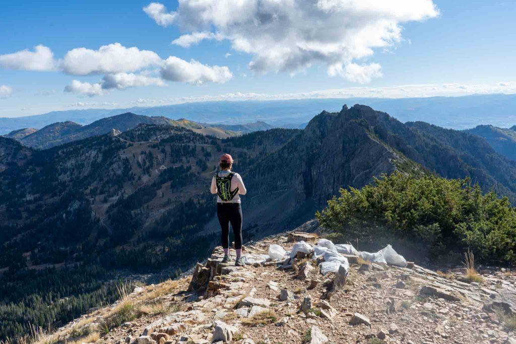 Views from Sugarloaf Peak