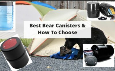 Best Bear Canisters: How To Choose, Pack and Carry For Backpacking