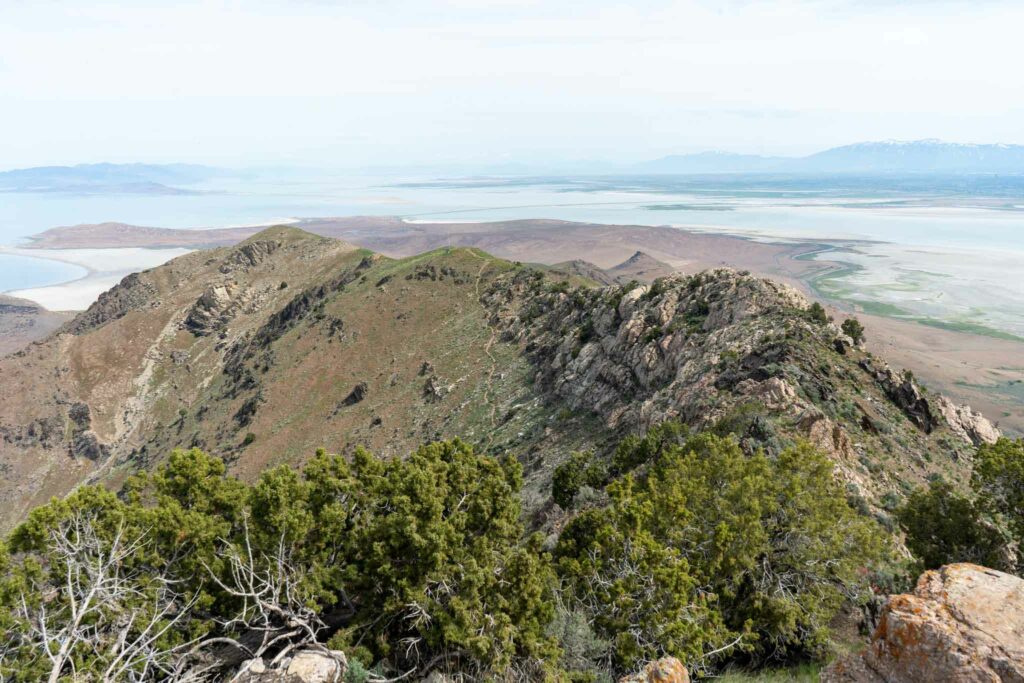Views looking back at the trail from Frary Peak